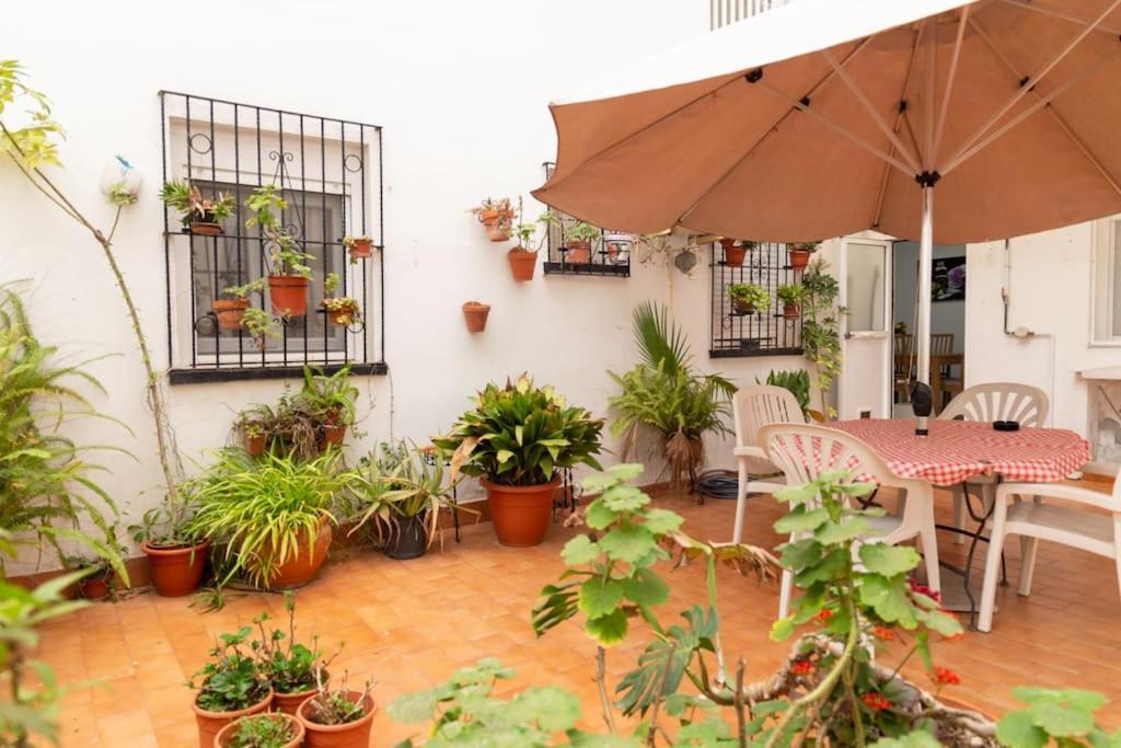 Ferienwohnung El Patio De La Vina By Gades Gestion Cádiz Exterior foto